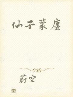 仙子蒙尘封面