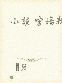 小说 官场新贵