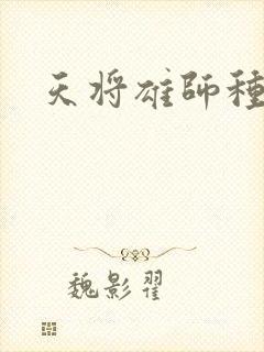 天将雄师种子封面