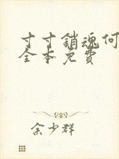 寸寸销魂何生祥全本免费封面