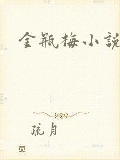 金瓶梅小说在线