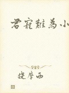 君宠难为小说