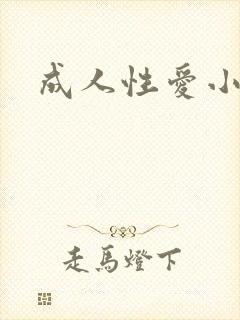 成人性爱小说封面