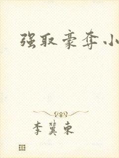 强取豪夺小说封面