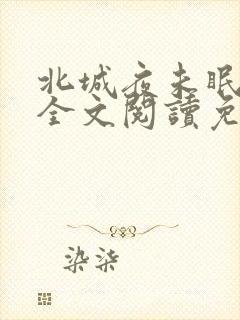 北城夜未眠小说全文阅读免费
