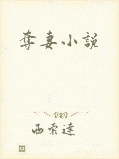 夺妻小说封面