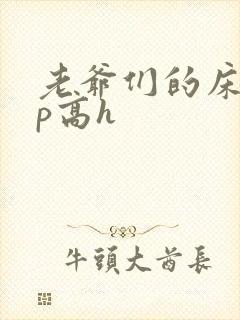 老爷们的床奴np高h