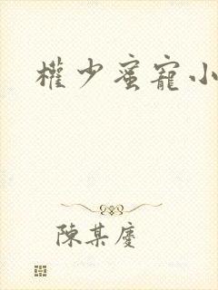 权少蜜宠小娇妻
