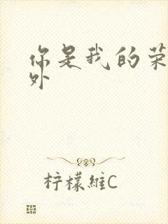 你是我的荣耀番外