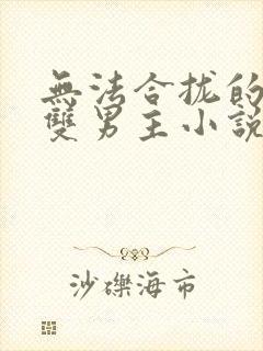 无法合拢的总裁双男主小说