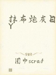 抹布炮灰日记BY