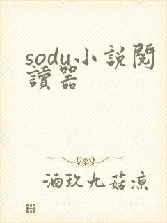sodu小说阅读器