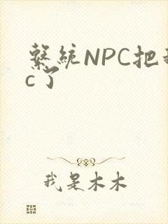 系统NPC把我c了封面