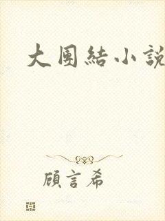 大团结小说阅读