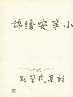 锦绣安宁小说