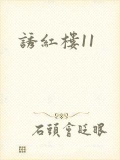 诱红楼11