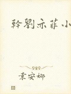 干刘亦菲小说
