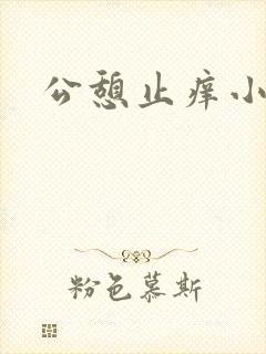 公憩止痒小说封面