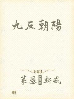 九反朝阳封面