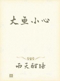 大鱼小心封面