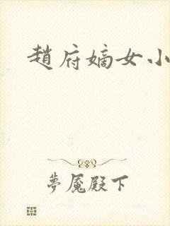 赵府嫡女小说