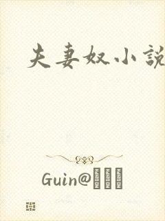 夫妻奴小说封面