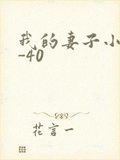 我的妻子小谨1-40封面