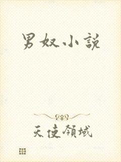 男奴小说