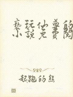亵玩仙尊的道侣小说免费阅读