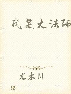 我是大法师封面