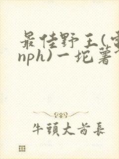 最佳野王(电竞nph)一坨薯饼
