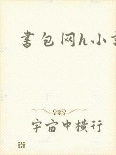 书包网h小说