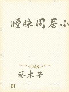 暧昧同居小说封面