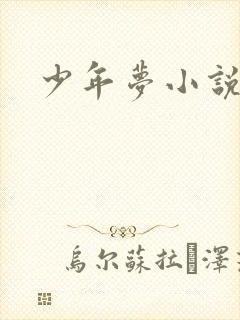 少年梦小说