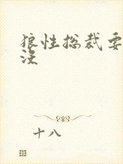 狼性总裁要够了没封面