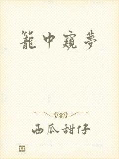 笼中窥梦
