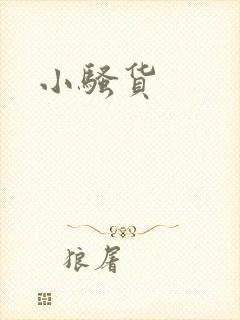 小骚货