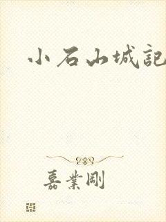 小石山城记封面