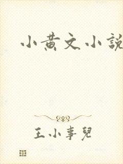 小黄文小说封面