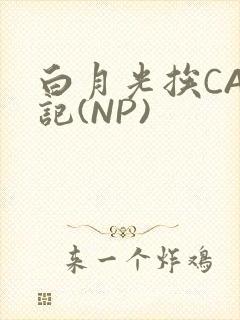 白月光挨CAO记(NP)