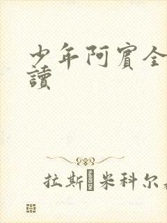 少年阿宾全集阅读