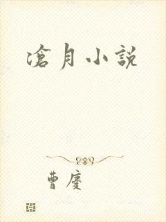 沧月小说封面