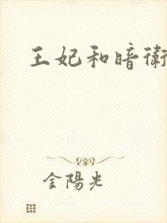 王妃和暗卫野H