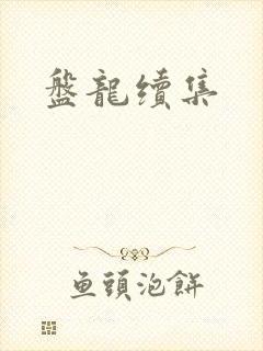 盘龙续集