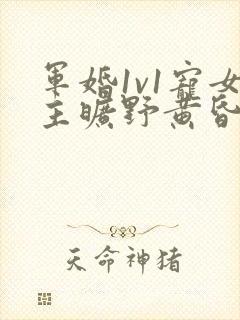 军婚1v1宠女主旷野黄昏