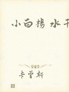 小白杨 水千丞