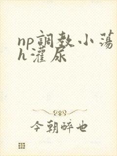 np调教小荡货h灌尿