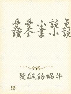 爱爱小说免费阅读全书小说乡村封面