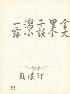 一泻千里金银花露小说全文免费阅读封面