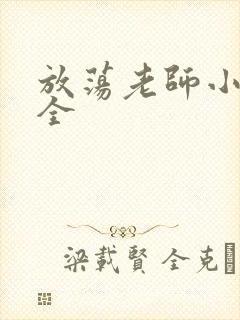 放荡老师小说大全封面